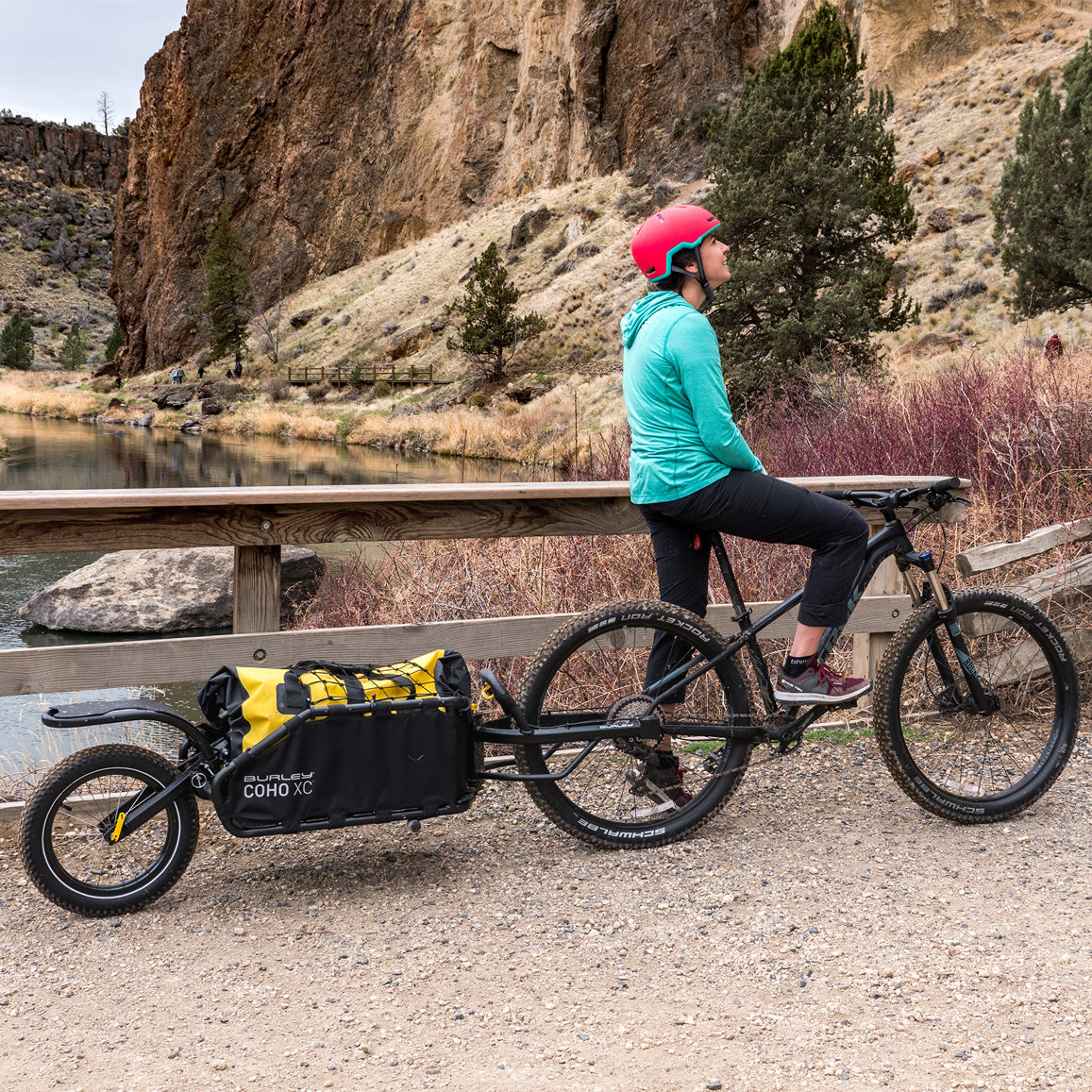 Single track bike trailer on sale